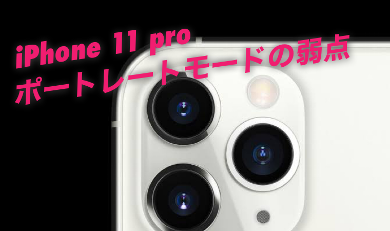 Iphone 11 Pro カメラアプリ ポートレートモードの弱点